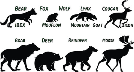 A detailed vector illustration of various wild forest animals in black silhouette style on a white background. Include multiple poses of each animal. Animals featured should include: bear, fox, wolf, 