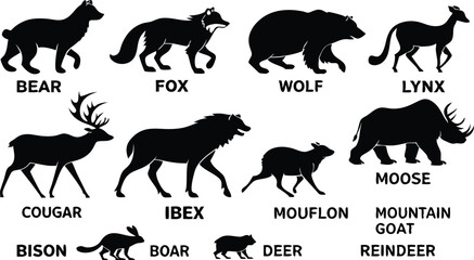 A detailed vector illustration of various wild forest animals in black silhouette style on a white background. Include multiple poses of each animal. Animals featured should include: bear, fox, wolf, 