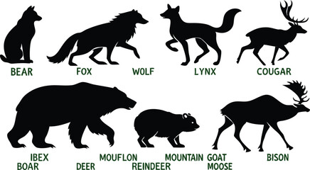 A detailed vector illustration of various wild forest animals in black silhouette style on a white background. Include multiple poses of each animal. Animals featured should include: bear, fox, wolf, 
