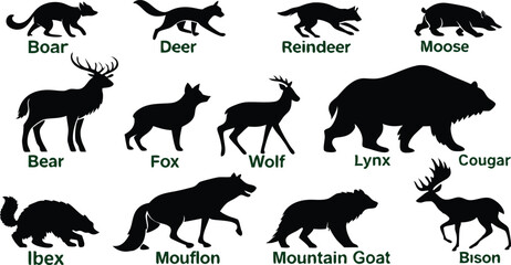 A detailed vector illustration of various wild forest animals in black silhouette style on a white background. Include multiple poses of each animal. Animals featured should include: bear, fox, wolf, 