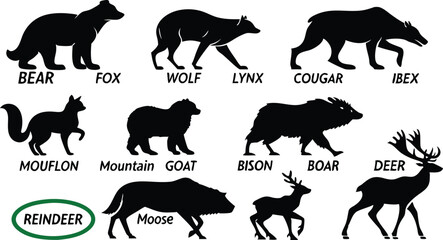 A detailed vector illustration of various wild forest animals in black silhouette style on a white background. Include multiple poses of each animal. Animals featured should include: bear, fox, wolf, 