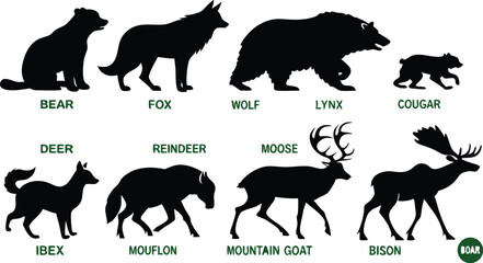 A detailed vector illustration of various wild forest animals in black silhouette style on a white background. Include multiple poses of each animal. Animals featured should include: bear, fox, wolf, 