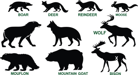 A detailed vector illustration of various wild forest animals in black silhouette style on a white background. Include multiple poses of each animal. Animals featured should include: bear, fox, wolf, 