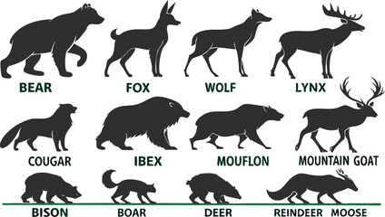 A detailed vector illustration of various wild forest animals in black silhouette style on a white background. Include multiple poses of each animal. Animals featured should include: bear, fox, wolf, 