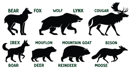 A detailed vector illustration of various wild forest animals in black silhouette style on a white background. Include multiple poses of each animal. Animals featured should include: bear, fox, wolf, 