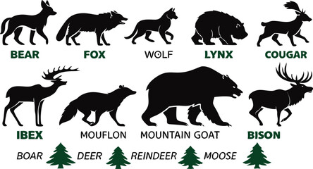 A detailed vector illustration of various wild forest animals in black silhouette style on a white background. Include multiple poses of each animal. Animals featured should include: bear, fox, wolf, 