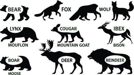 A detailed vector illustration of various wild forest animals in black silhouette style on a white background. Include multiple poses of each animal. Animals featured should include: bear, fox, wolf, 
