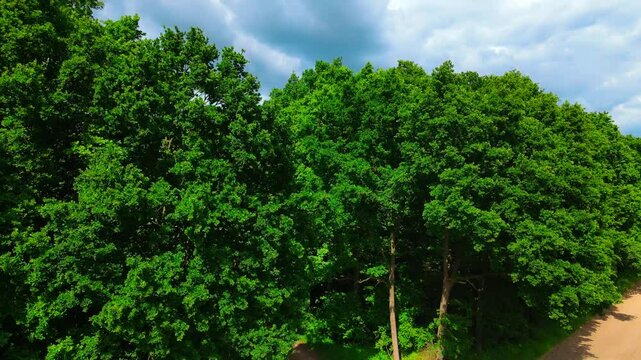 Drone shots Castle Borg in Rinkerode (Germany)