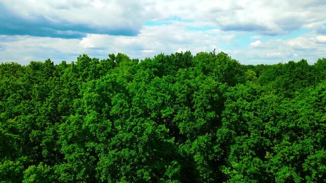 Drone shots Castle Borg in Rinkerode (Germany)