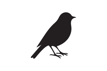 Fototapeta premium Bird silhouette on white background.