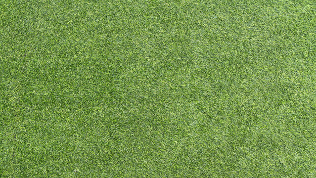 Green grass background on golf course