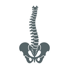 Vertebrae Silhouette vector Art & Illustration, Human Bone, Human organ silhouette on a white background