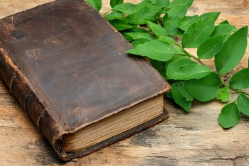 Antique Brown Leather Book and Green Leaves on Rustic Wood