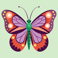 colorful butterfly vector illustration