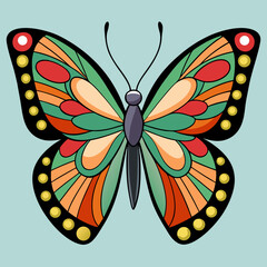 colorful butterfly vector illustration