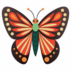 colorful butterfly vector illustration