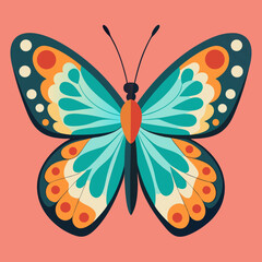 colorful butterfly vector illustration