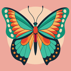 colorful butterfly vector illustration