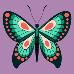 colorful butterfly vector illustration