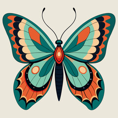 colorful butterfly vector illustration