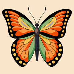 colorful butterfly vector illustration