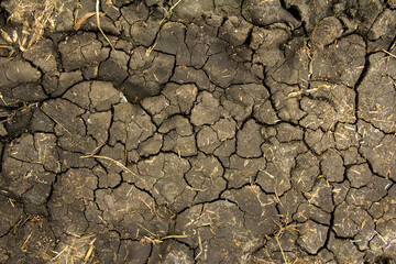 dry cracked earth texture