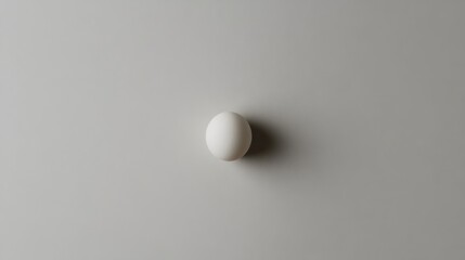 Simple Isolated White Egg on Plain Light Grey Surface Seen From Above