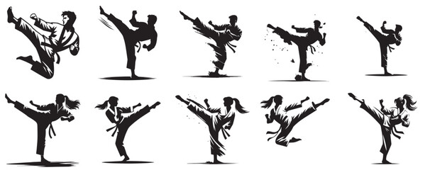 silhouette vector of a karate © Andi