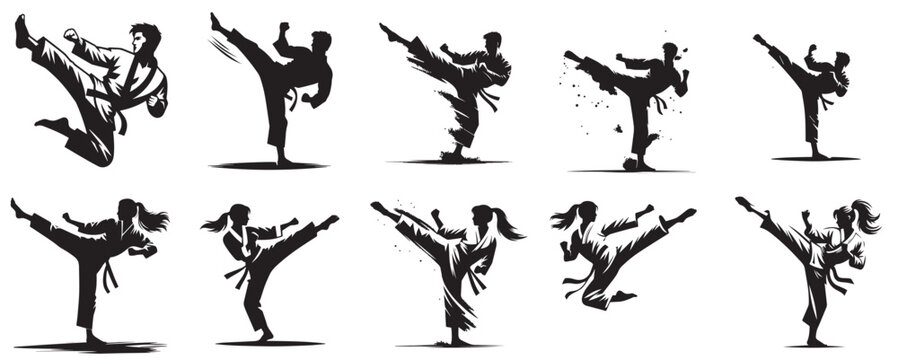 silhouette vector of a karate