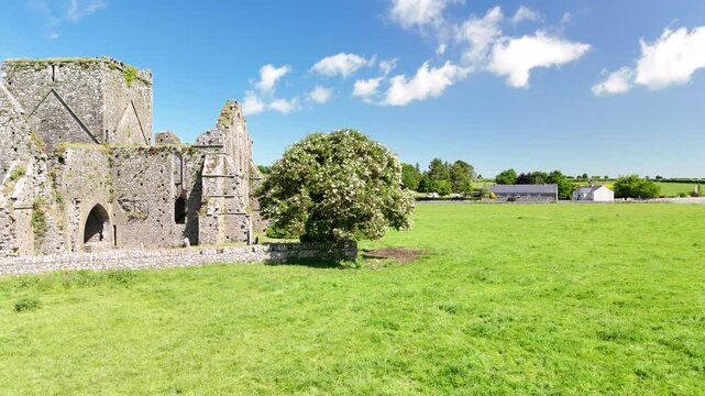 Rock of Cashel