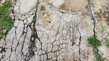Cracked Concrete Pavement with Grass Growing Through