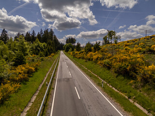Winding Roads Through the Forested Hills of the Eifel, Germany – Aerial Shot