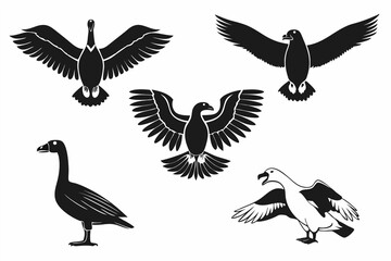 Obraz premium Majestic Eagle Illustrations – Vector Art Collection