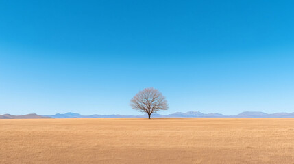 Single isolated tree in minimal landscape under blue sky
