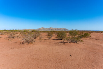 Blue sky over the Chihuahuan desert in Texas