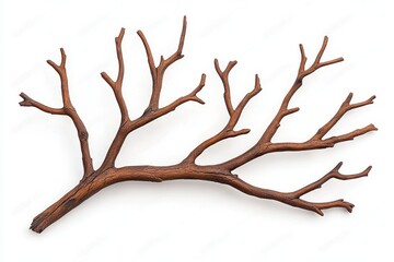 Fototapeta premium Dark Brown Branch with Thin Offshoots on White Background