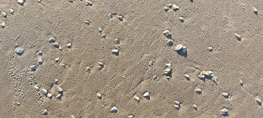 abstract texture of sand and shells ,  closeup of photo
