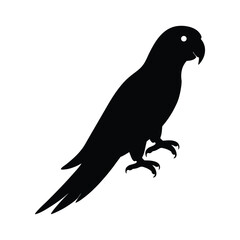 Parrot Vector Silhouette