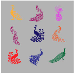 Peacock colour group vector