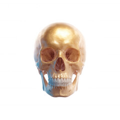 Fototapeta premium A decorative golden skull with intricate details, representing themes of mortality and art. The skull is presented on a white isolated background for clarity and focus.