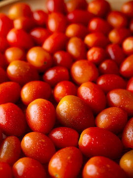 Organic Red grape cherry tomato. fresh vegetables. copy space.