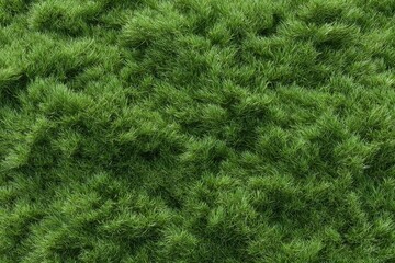 Lush Green Grass Texture: A Serene Naturalistic Study