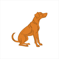 vector illustration of a dog