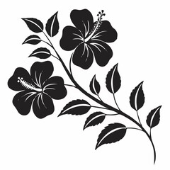 Elegant black and white hibis...