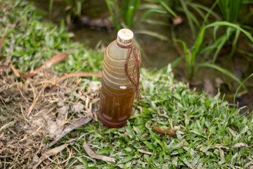 Some old oil in the bottle on the ground
