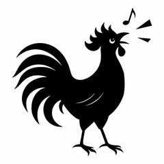rooster isolated on white