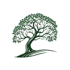 Fototapeta premium Tree