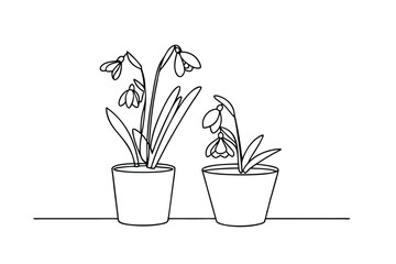 Elegant black and white line art illustration of snowdrop flowers in two pots