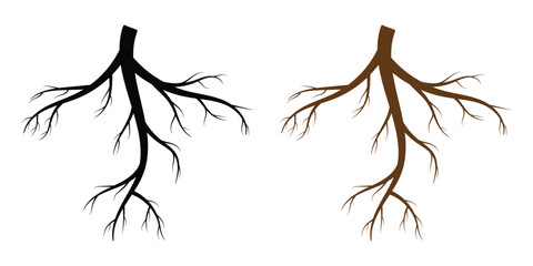 Fototapeta premium Tree root vector silhouette icon set. Set of tree roots. root of the tree icon. Vector illustration in eps 10.