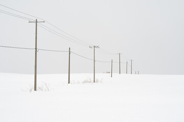 power lines in winter